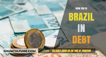 Brazil's Debt Crisis: How Deep Does the Financial Hole Go?