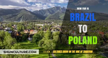 Exploring the Distance: Brazil to Poland Travel Guide