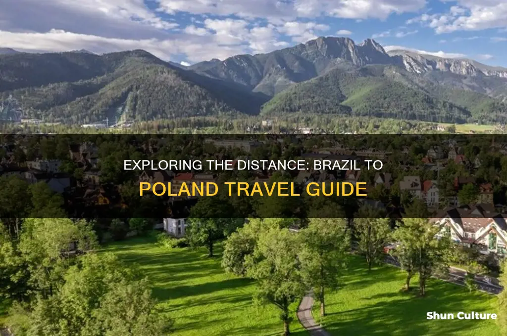 how far is brazil to poland