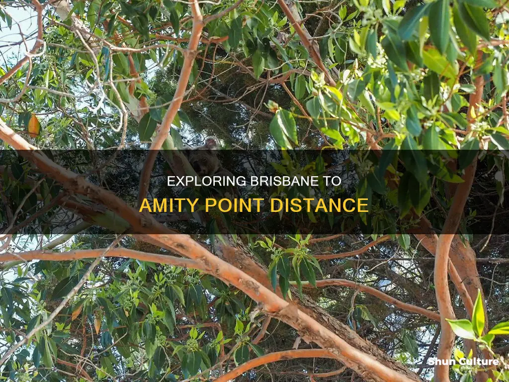 how far is brisbane australia to amity point