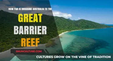 Exploring Brisbane to the Great Barrier Reef: The Distance Travellers