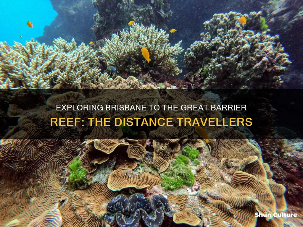 how far is brisbane australia to the great barrier reef