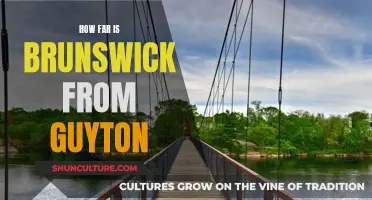 Guyton to Brunswick: Distance Explored