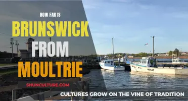 Brunswick-Moultrie Distance: How Far?