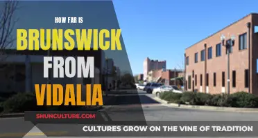 Brunswick-Vidalia: How Far?