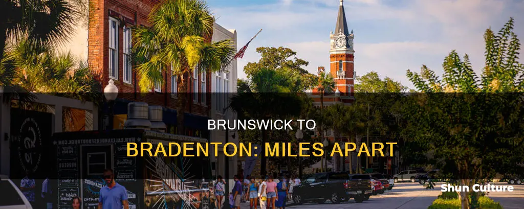 how far is brunswick ga from bradenton fl