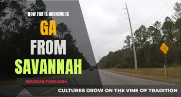 The Coastal Georgia Adventure: Exploring Savannah and Its Neighbor, Brunswick