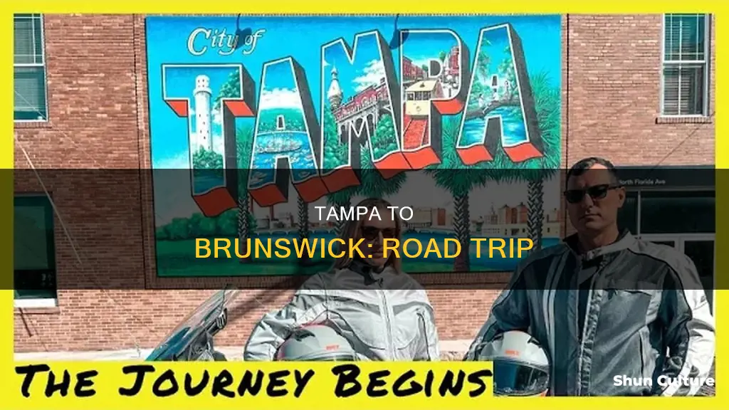 how far is brunswick ga from tampa fl