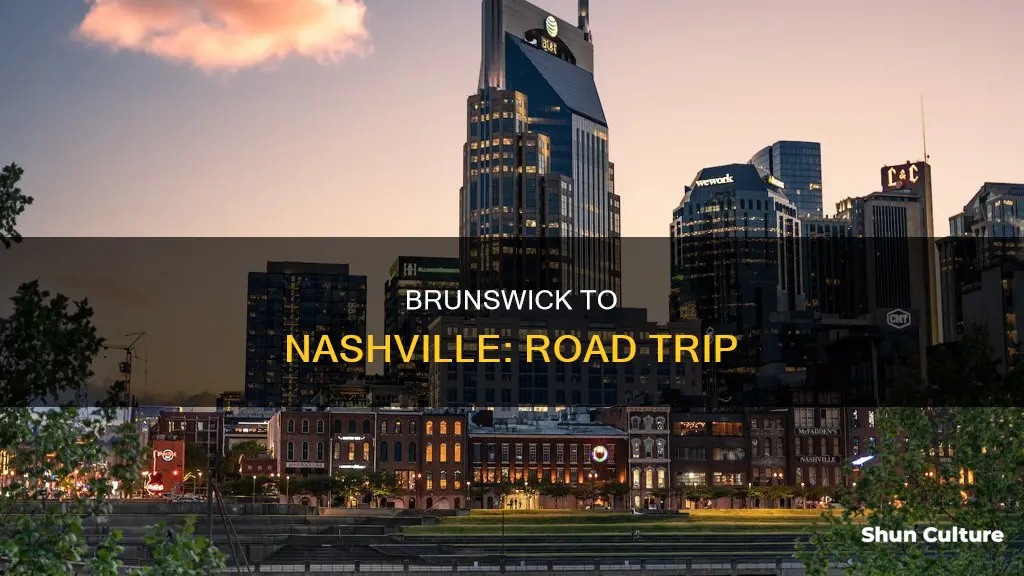 how far is brunswick ga to nashville ga