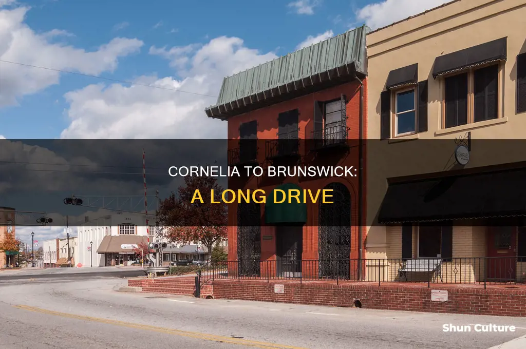 how far is brunswick georgia from cornelia georgia