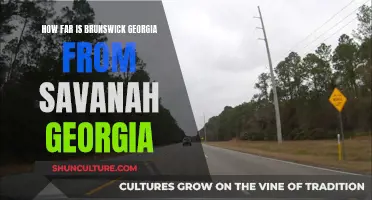 Savannah to Brunswick: Coastal Georgia Road Trip