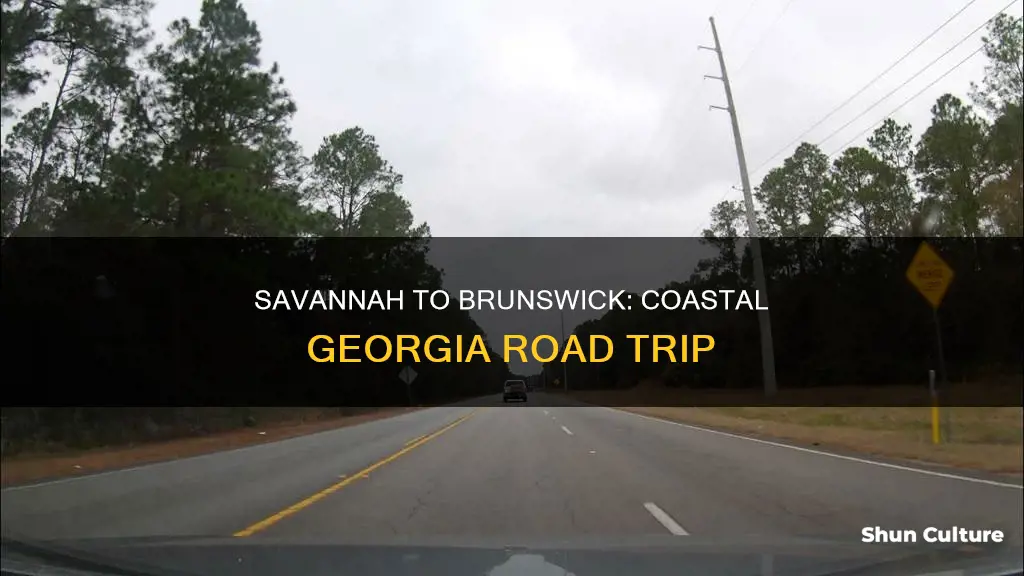 how far is brunswick georgia from savanah georgia