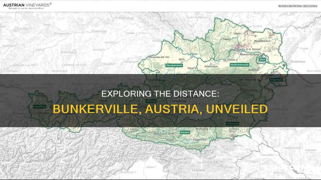 how far is bunkerville austria