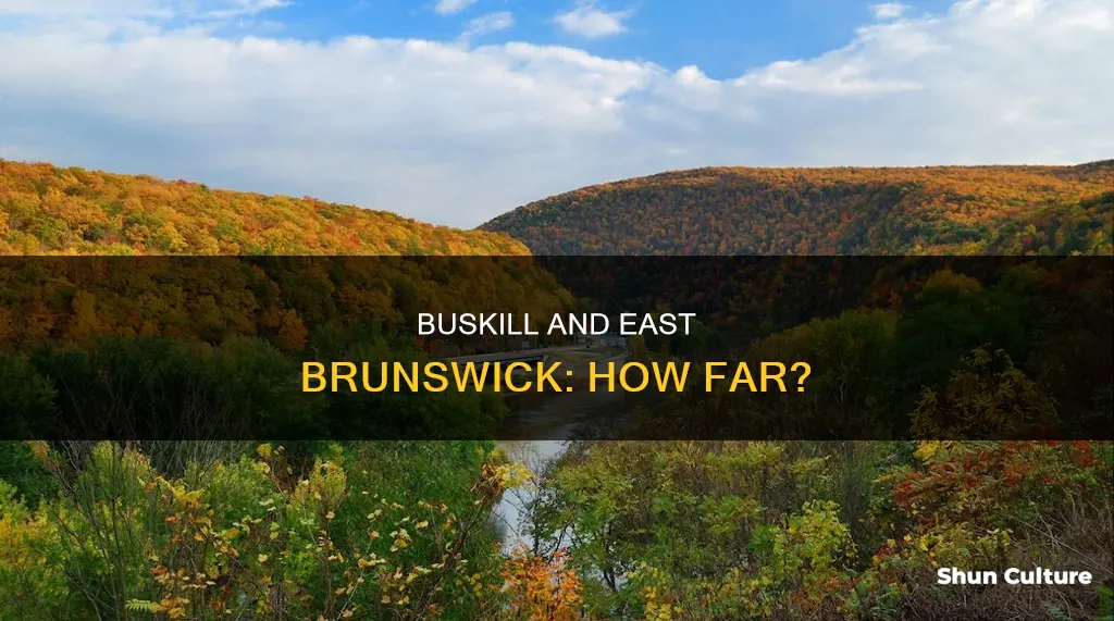 how far is buskill pa from east brunswick