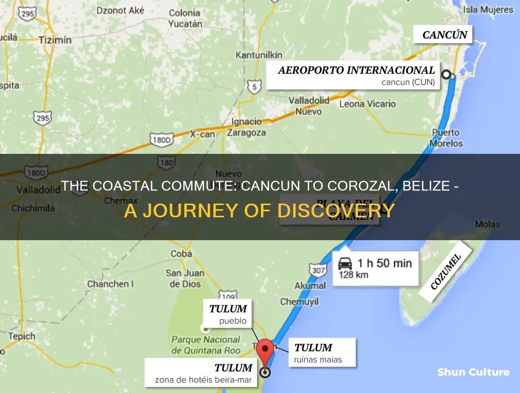 how far is cancun from corozal belize