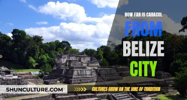 Belize City to Caracol: A Journey Through Time and Space