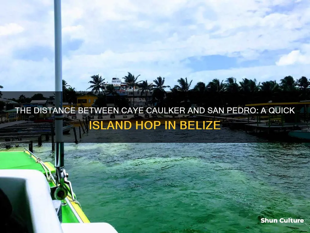 how far is caye caulker from san pedro belize