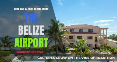 Coco Beach's Secluded Paradise: A Short Journey from Belize Airport