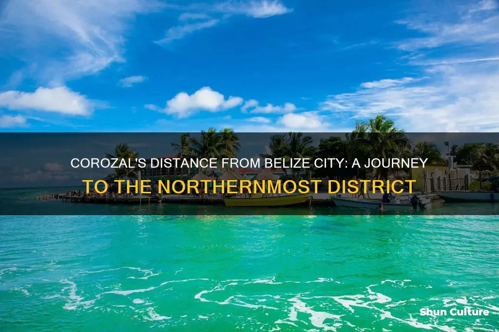 how far is corozal from belize city