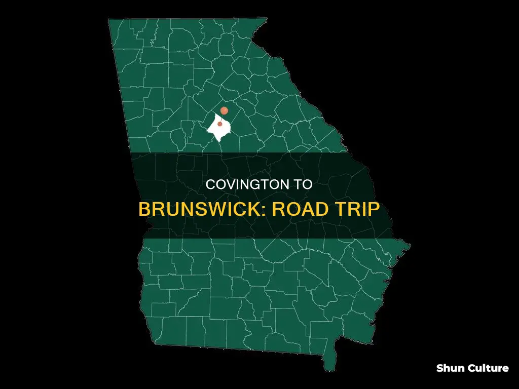 how far is covington ga from brunswick ga