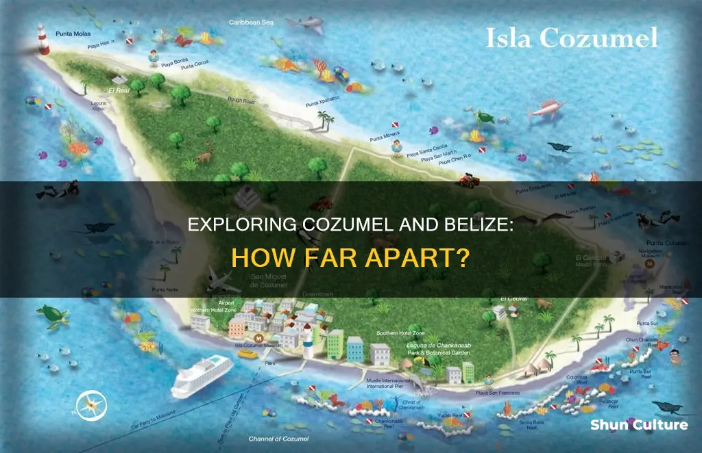 how far is cozumel from belize