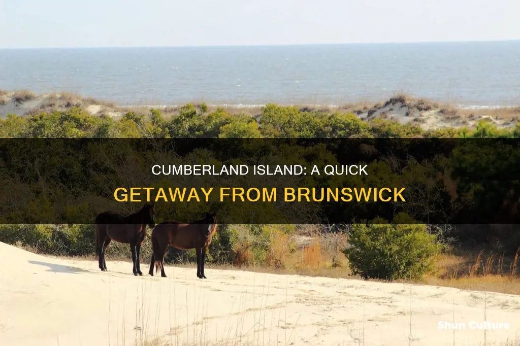 how far is cumberland island from brunswick