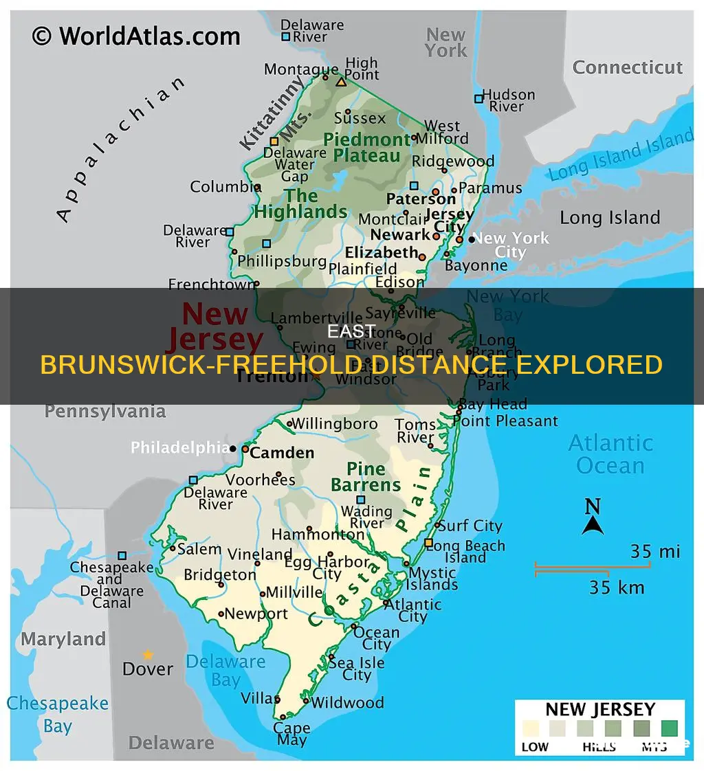 how far is east brunswick from freehold