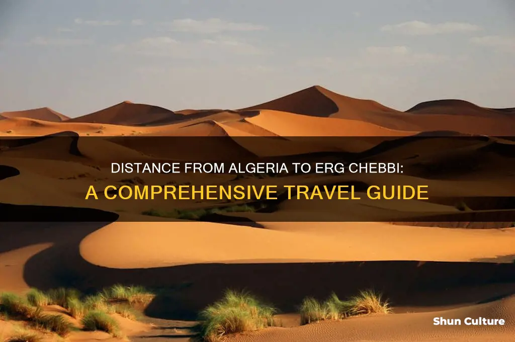 how far is erg chebbi from algeria