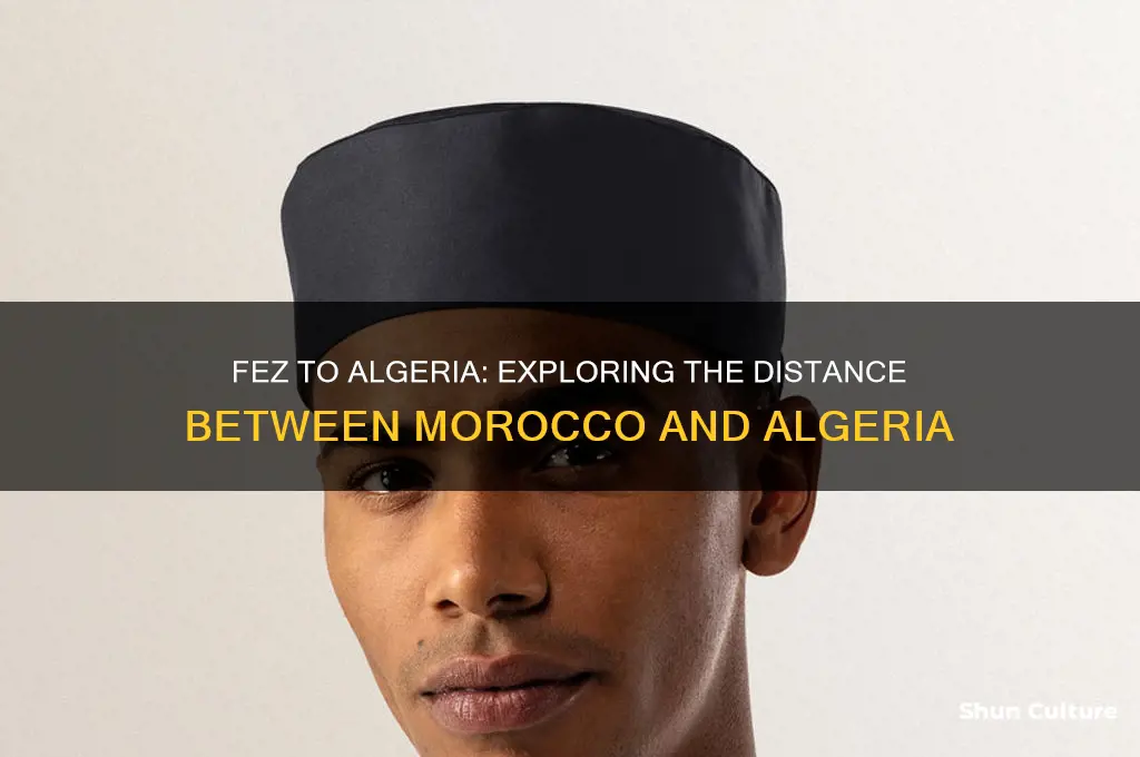 how far is fez to algeria