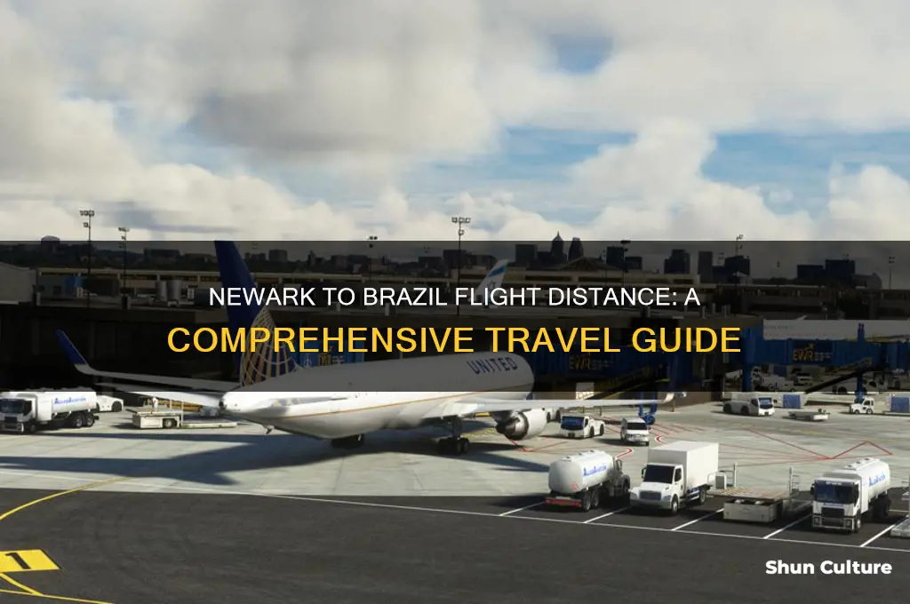how far is flight from newark to to brazil