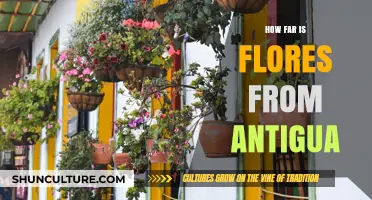 Exploring Distance: How Far is Flores from Antigua?