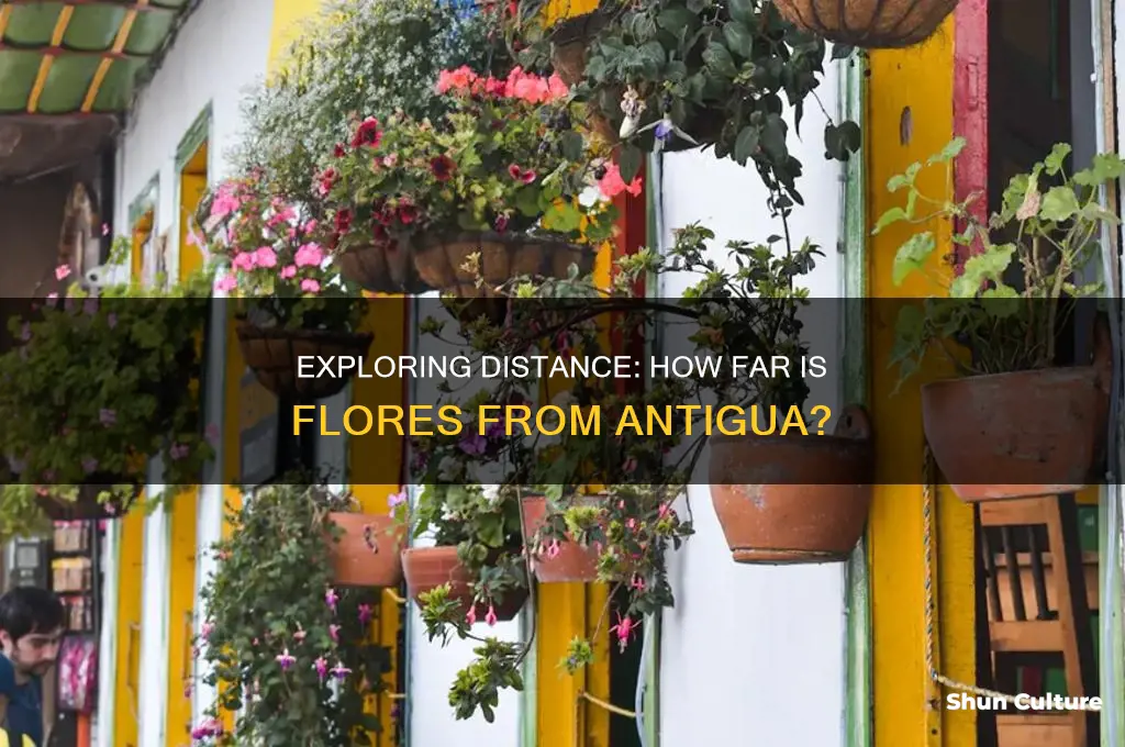 how far is flores from antigua