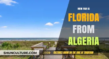 Exploring the Distance: Florida to Algeria Travel Guide