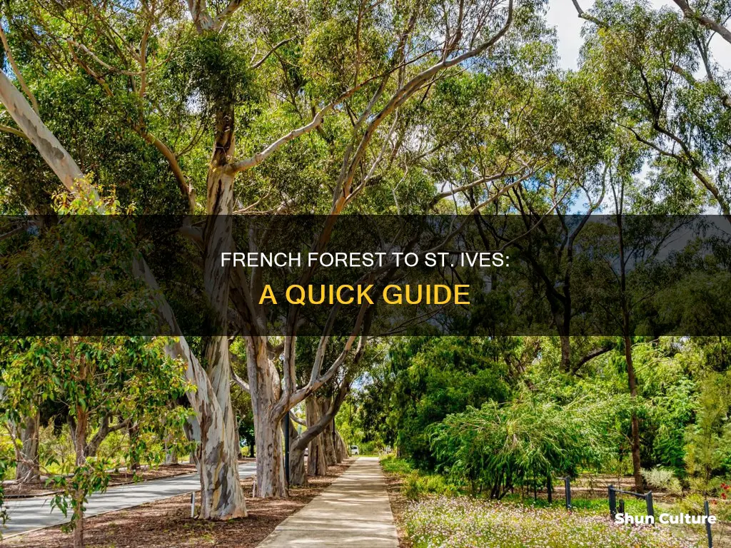 how far is french forest from st ives nsw australia