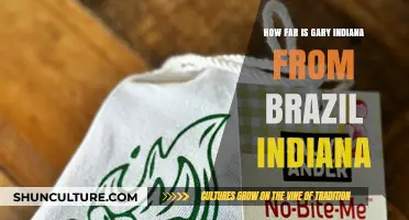 Exploring the Distance: Gary Indiana to Brazil Indiana Journey
