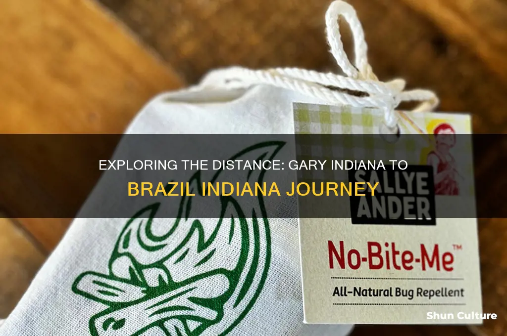 how far is gary indiana from brazil indiana