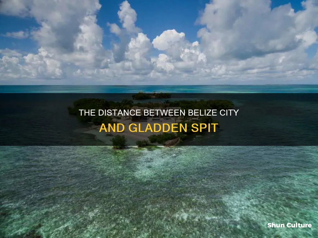 how far is gladden spit belize from belize city