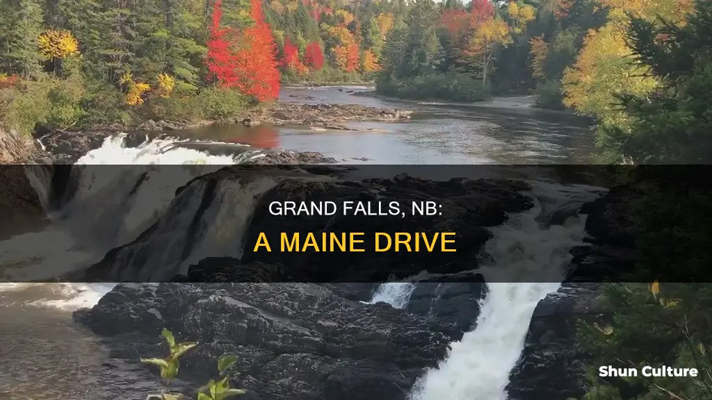 how far is grand falls new brunswick maine