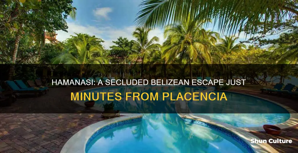 how far is hamanasi from placencia belize