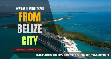 The Distance Between Adventure and Relaxation: Harvest Caye and Belize City