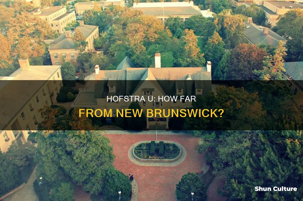 how far is hofstra university from new brunswick