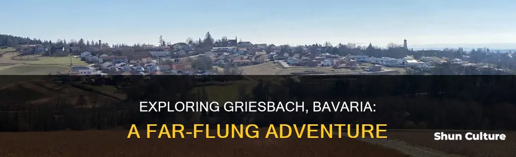 how far is is bad griesbach bavaria