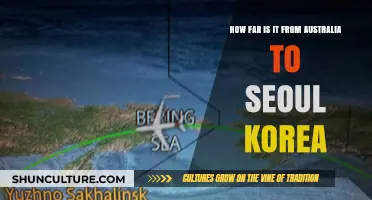 Exploring the Distance: Australia to Seoul, Korea