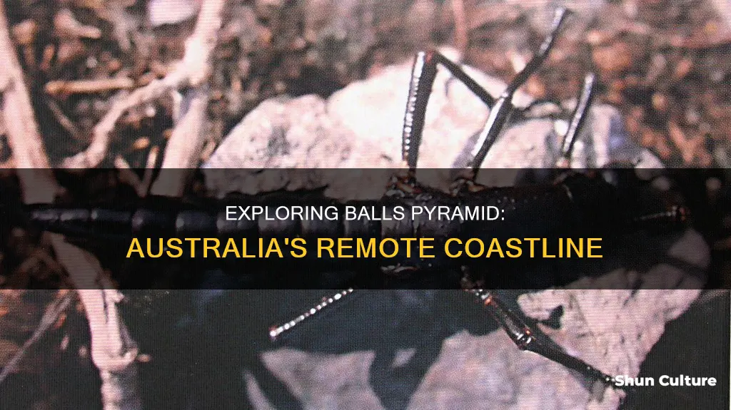 how far is it from balls pyramid to australian coast