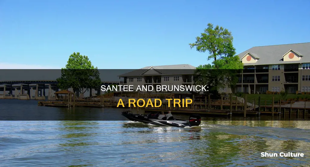 how far is it from brunswick ga to santee sc