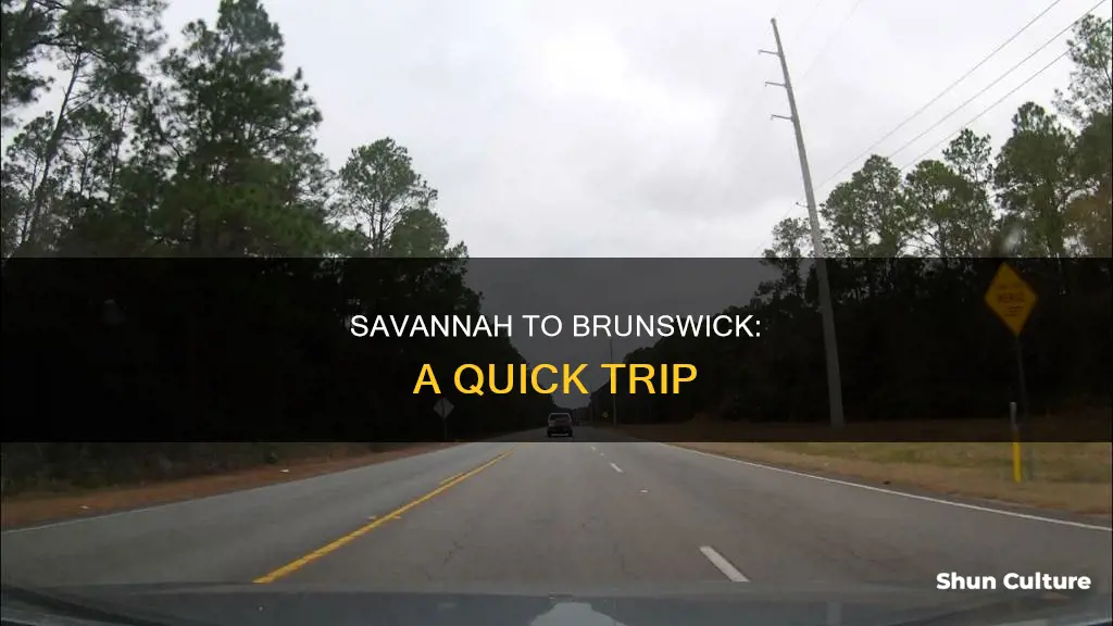 how far is it from brunswick georgia to savannah georgia