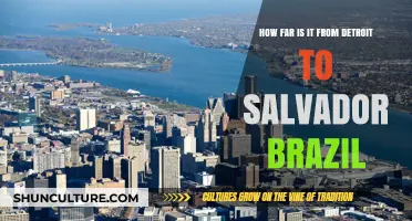 Detroit to Salvador, Brazil: Unveiling the Distance Between Two Cities