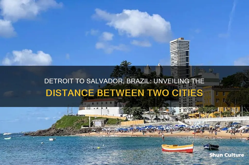 how far is it from detroit to salvador brazil