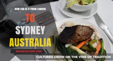 London to Sydney: Unveiling the Epic Distance Down Under