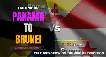 Travel Distance Between Panama and Brunei